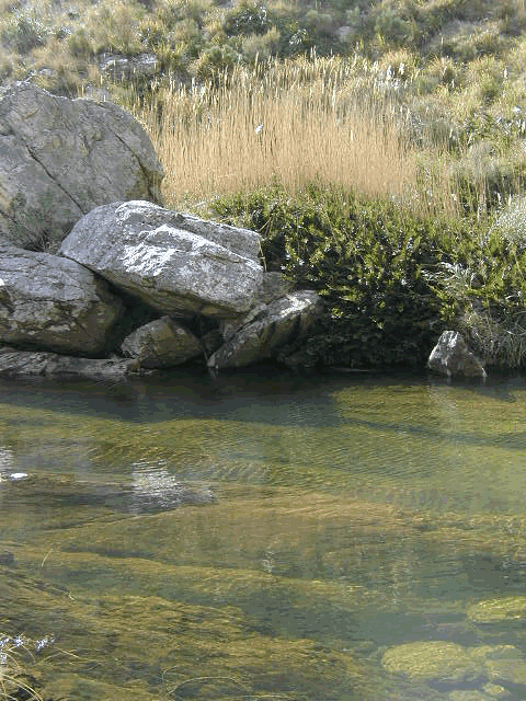 métodos para potabilizar agua