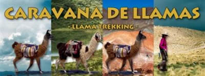 Caravana de llamas
