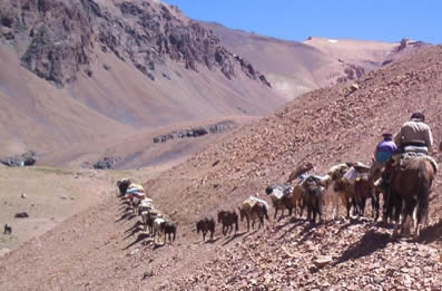 Cruce de la Cordillera de Los Andes Cabalgata Sanmartiniana