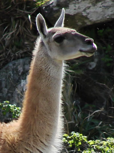 Parque Provincial Ernesto Tornquist 