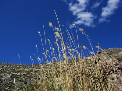 Parque Provincial Ernesto Tornquist 