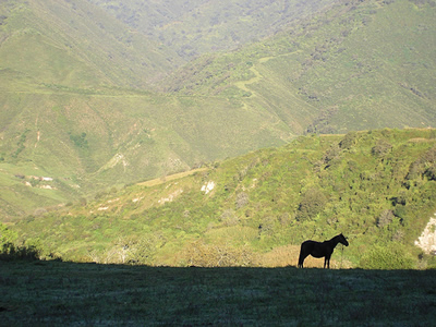 Senderos del Aconquija contraluz