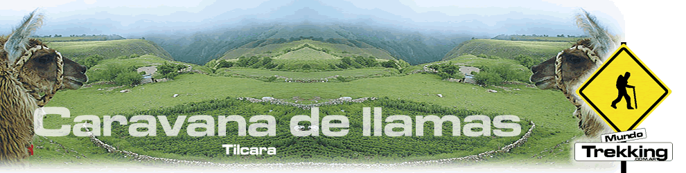 Caravana de llamas, trekking