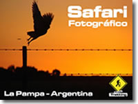 Fotosafari fotografico rural en La Pampa
