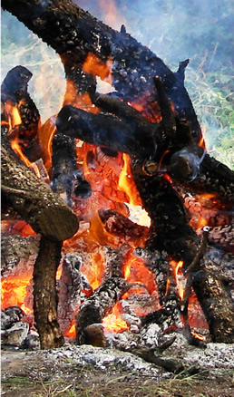 Fuego en campamento