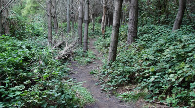 trekking por senderos